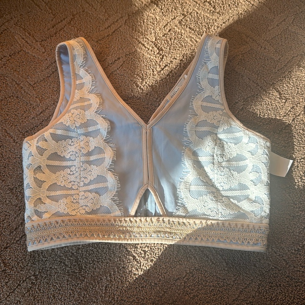 Stinning Endless Rose lace crop top